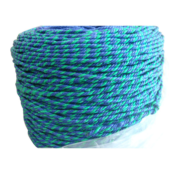 Poyyproprylynch ropes